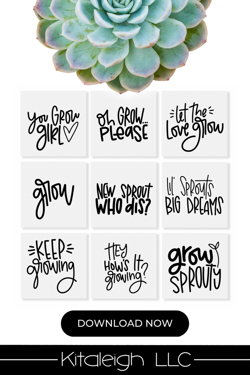 succulent plants quotes Hand Lettered Plant Quotes Vol 12 – Kitaleigh LLC