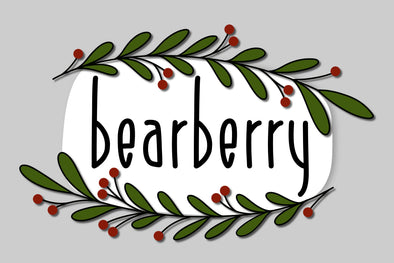 Bearberry Kitaleigh Crew Exclusive Font