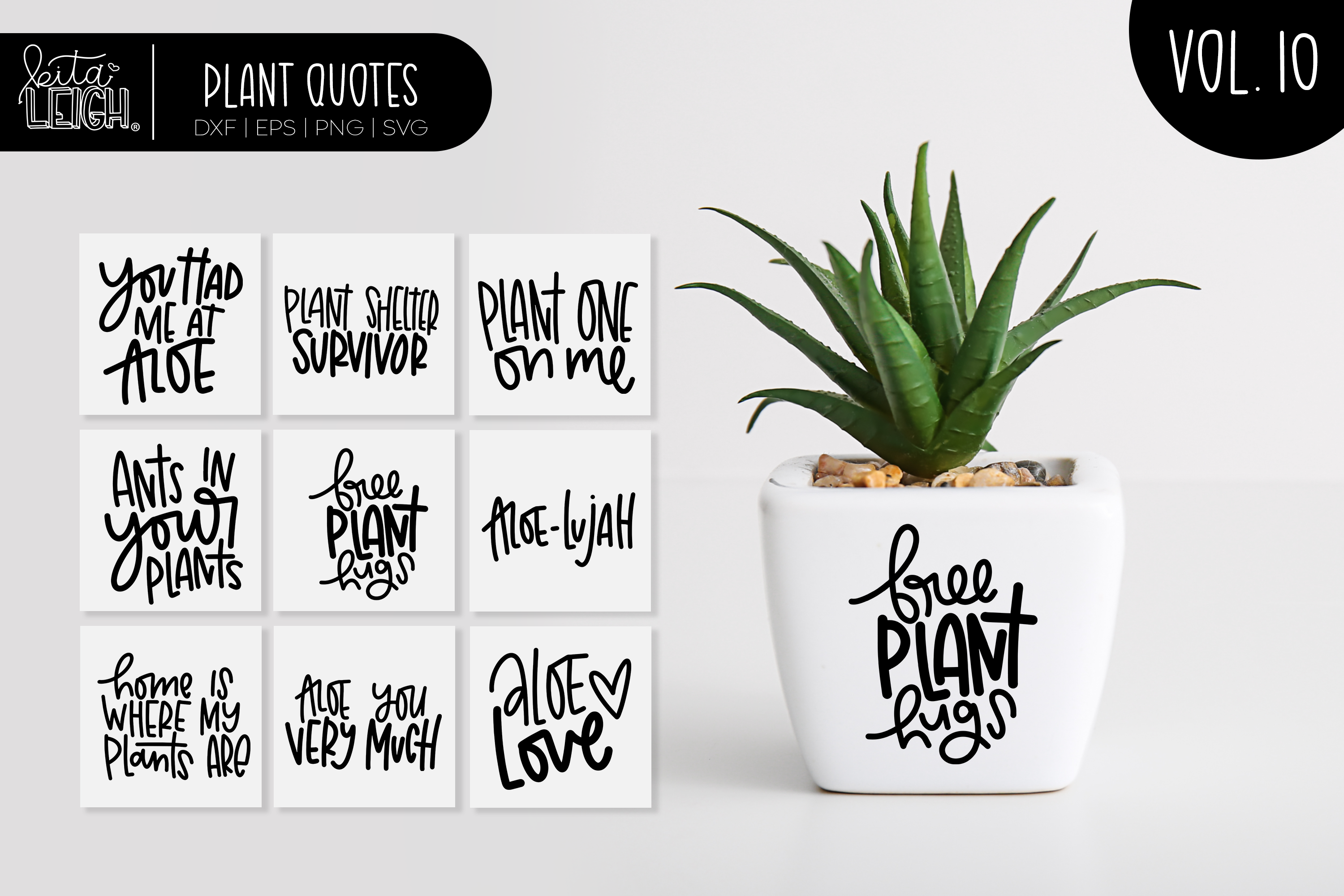 succulent plant sayings Hand Lettered Plant Quotes Vol 10 – Kitaleigh LLC