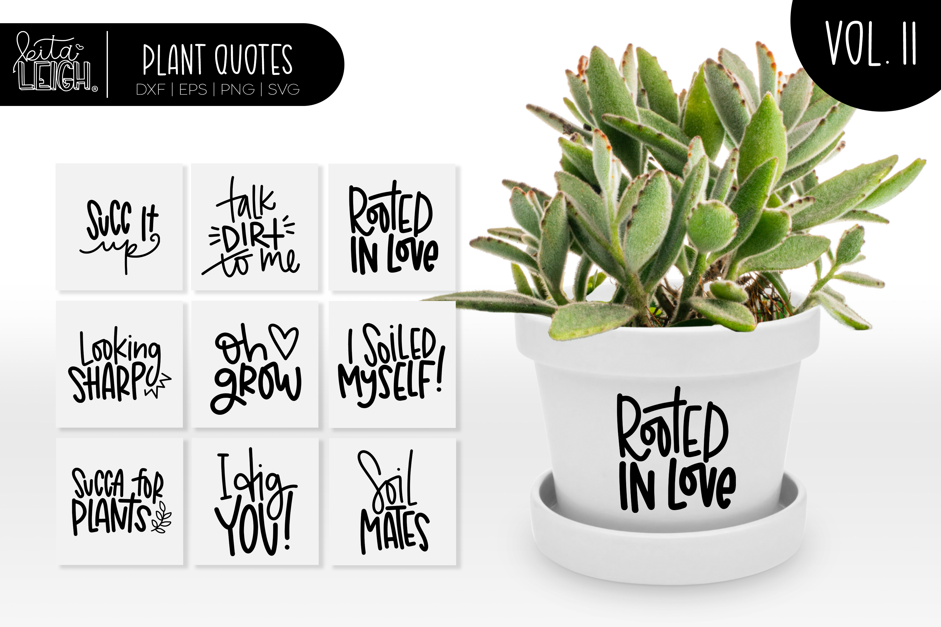 succulent sayings svg Hand Lettered Plant Quotes Vol 11 – Kitaleigh LLC