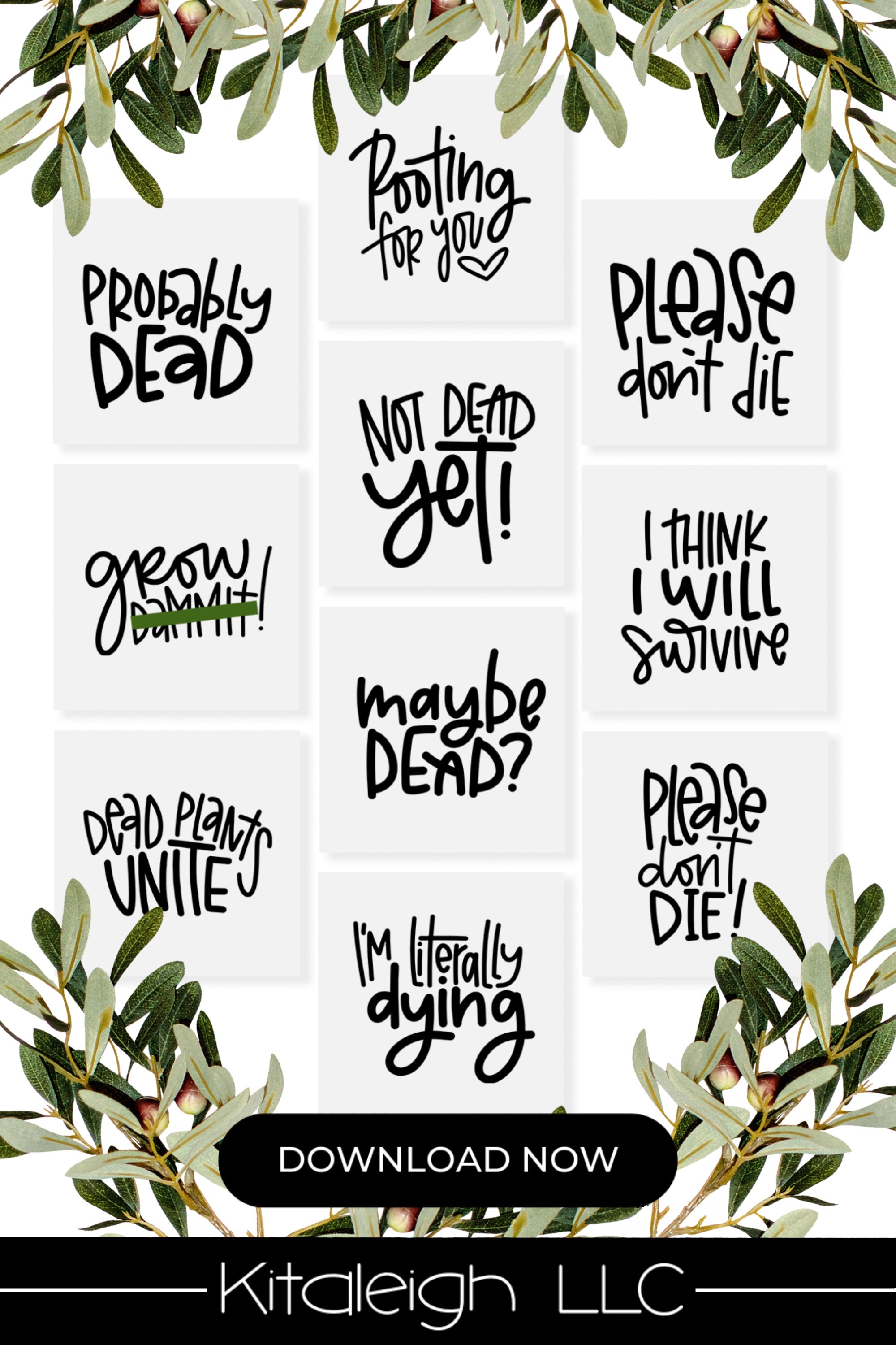plant hanger quotes Hand Lettered Plant Quotes Vol 1 – Kitaleigh LLC