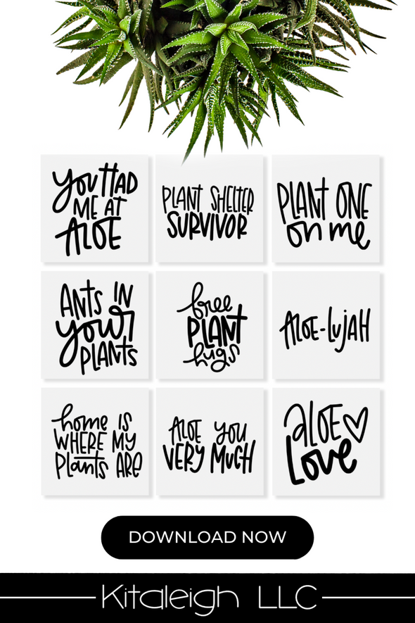 Hand Lettered Plant Quotes Vol 10