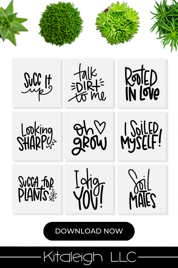 Hand Lettered Plant Quotes Vol 11