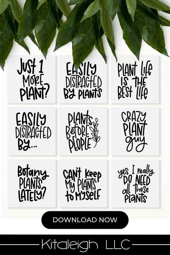 Hand Lettered Plant Quotes Vol 9