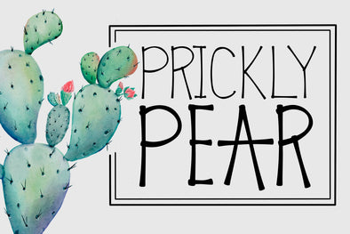 Prickly Pear a Handwritten Typeface