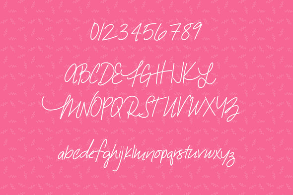 Snarky Flamingo a Hand Lettered Font