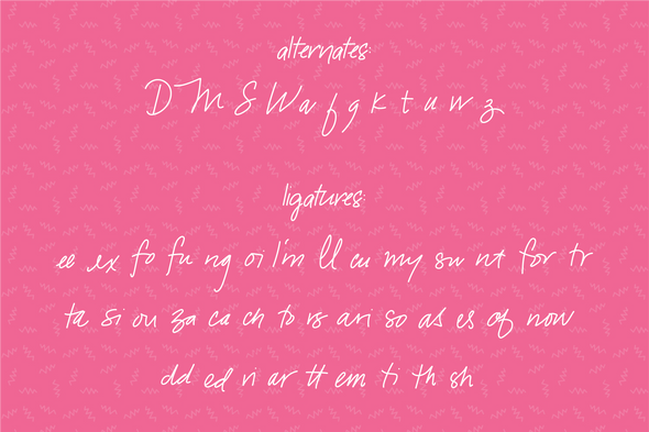 Snarky Flamingo a Hand Lettered Font